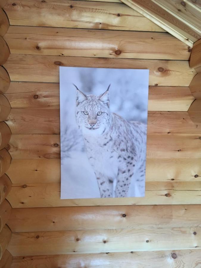 Le Syote Villa Xonrupt-Longemer Eksteriør bilde